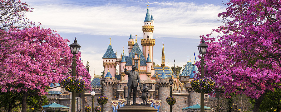 Disney has banned the selfie stick